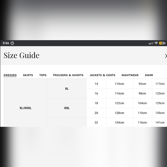 Never Fully Dressed Women's Silver Plisse Midi Dress XXL NWT Maximalist Chic - Picture 5 of 16